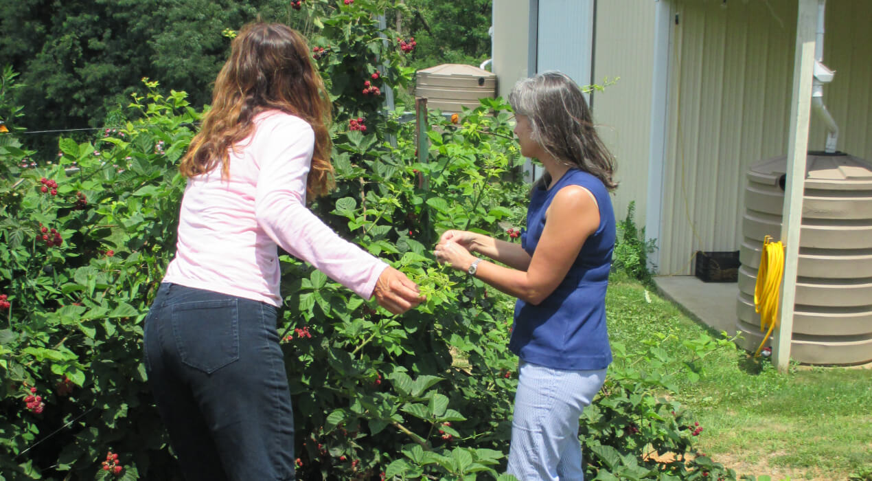 Two women working at Red Hill Farm